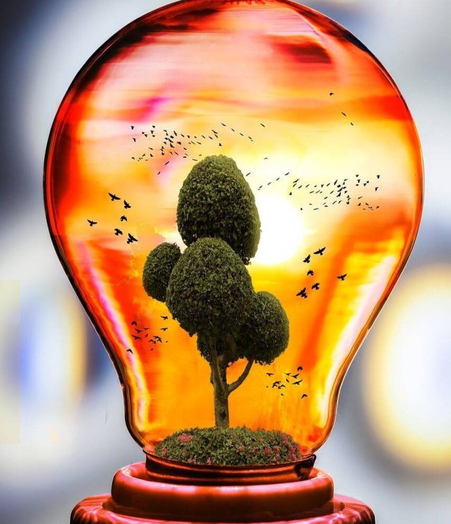 eco, nature, bulb-2221567.jpg